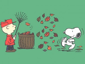 Snoopy leaves